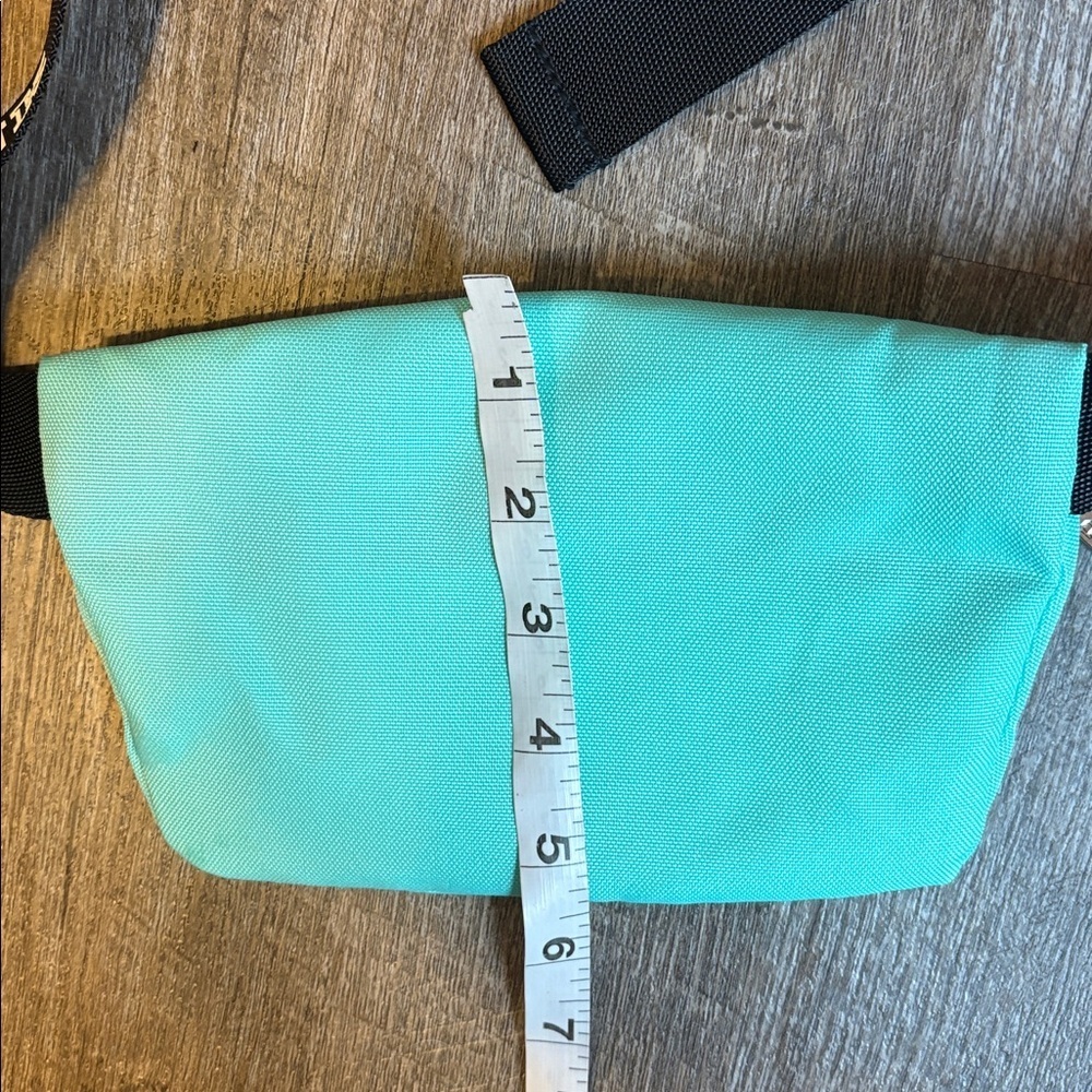 PINK Victoria’s Secret Light Turquoise Belt Bag Spellout Logo Adjustable Strap - Picture 13 of 13